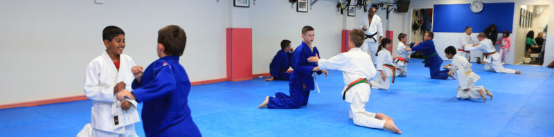 Photo of the Kokoro Judo Club [Penrith] Judo Club